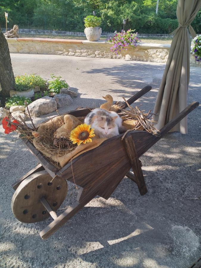 "Il Miglio" Country House Pettorano sul Gizio ภายนอก รูปภาพ