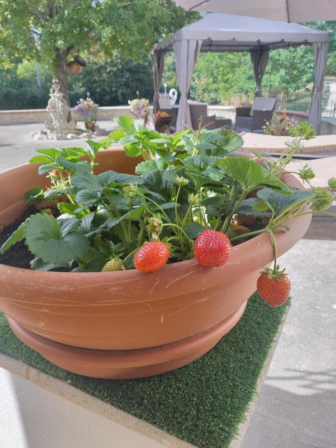 "Il Miglio" Country House Pettorano sul Gizio ภายนอก รูปภาพ